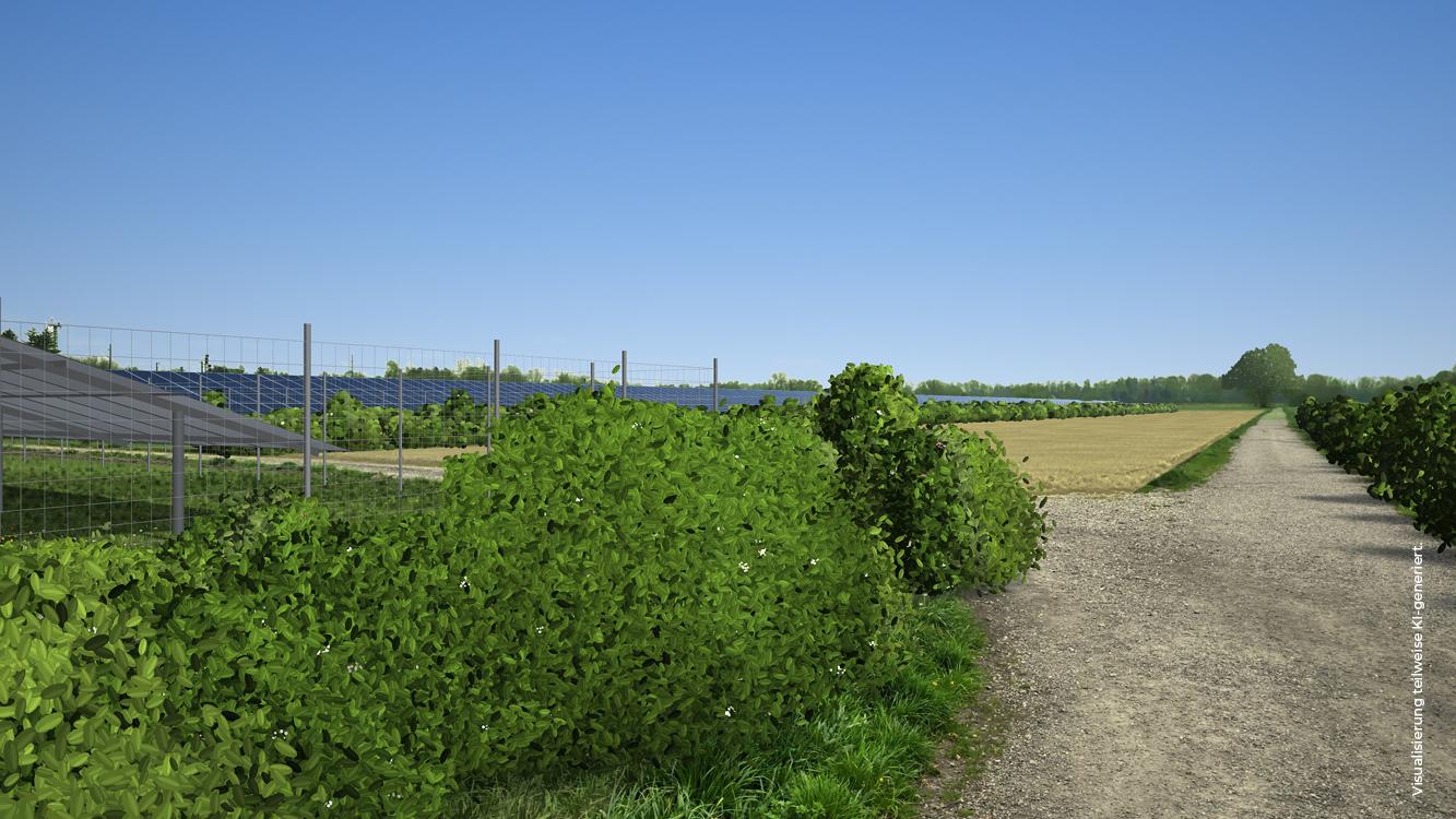 Beitrag_640x360_Olching_Solarpark_1 Windkraft PV Regenerative Energie FFB